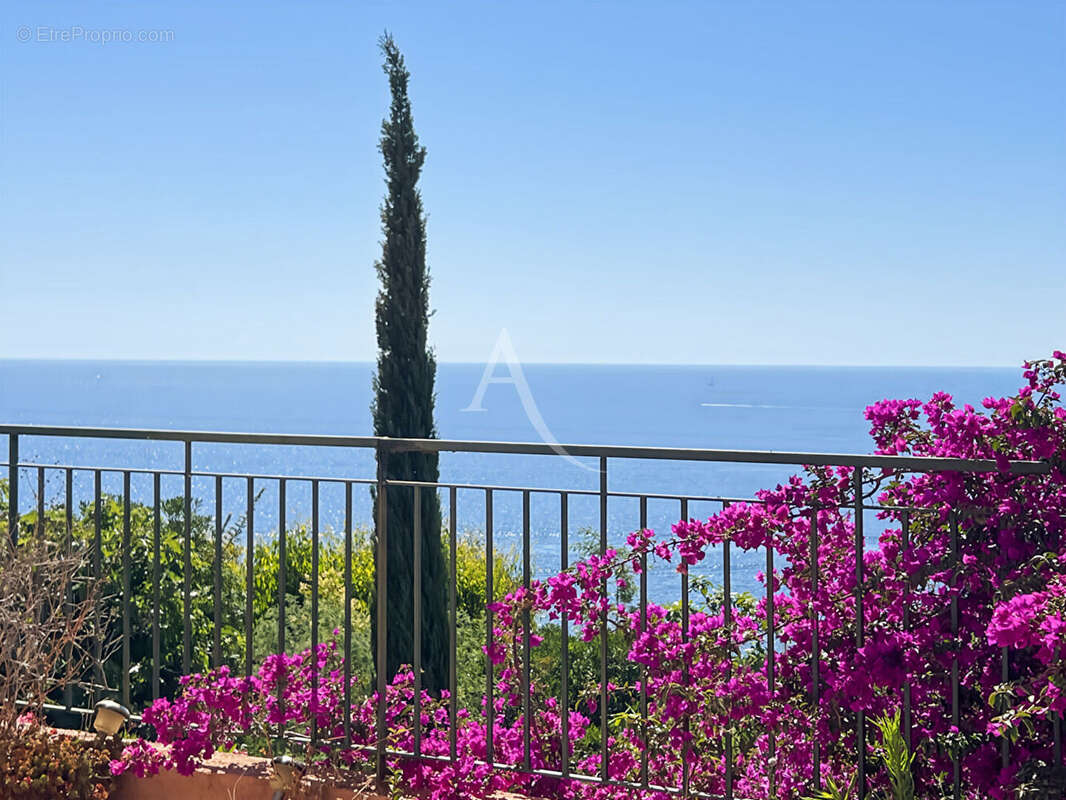 Appartement à THEOULE-SUR-MER