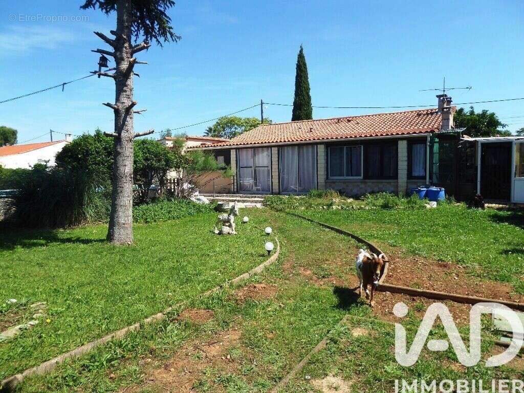 Photo 3 - Maison à SAINT-NAZAIRE-D'AUDE