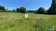 Terrain à SAINT-FRONT-LA-RIVIERE