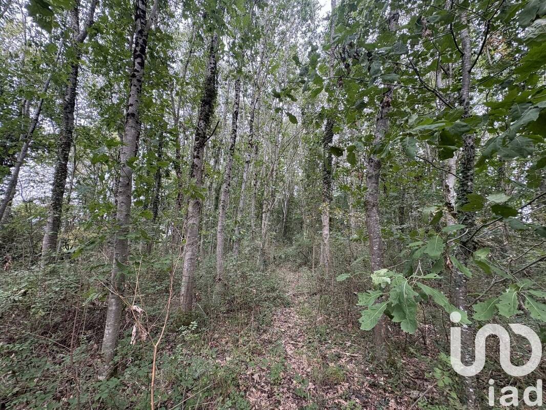 Photo 1 - Terrain à OUDON