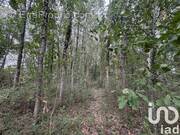 Photo 1 - Terrain à OUDON