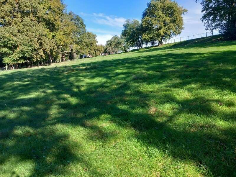 Maison à NEUVY-LE-BARROIS