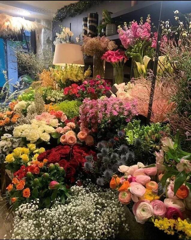 Commerce à FONTAINEBLEAU