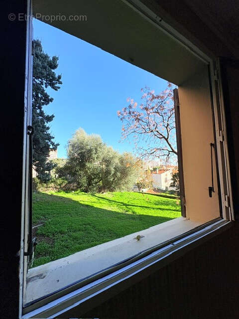 Appartement à SAN-MARTINO-DI-LOTA