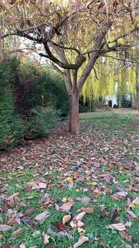 Maison à PONT-A-MOUSSON