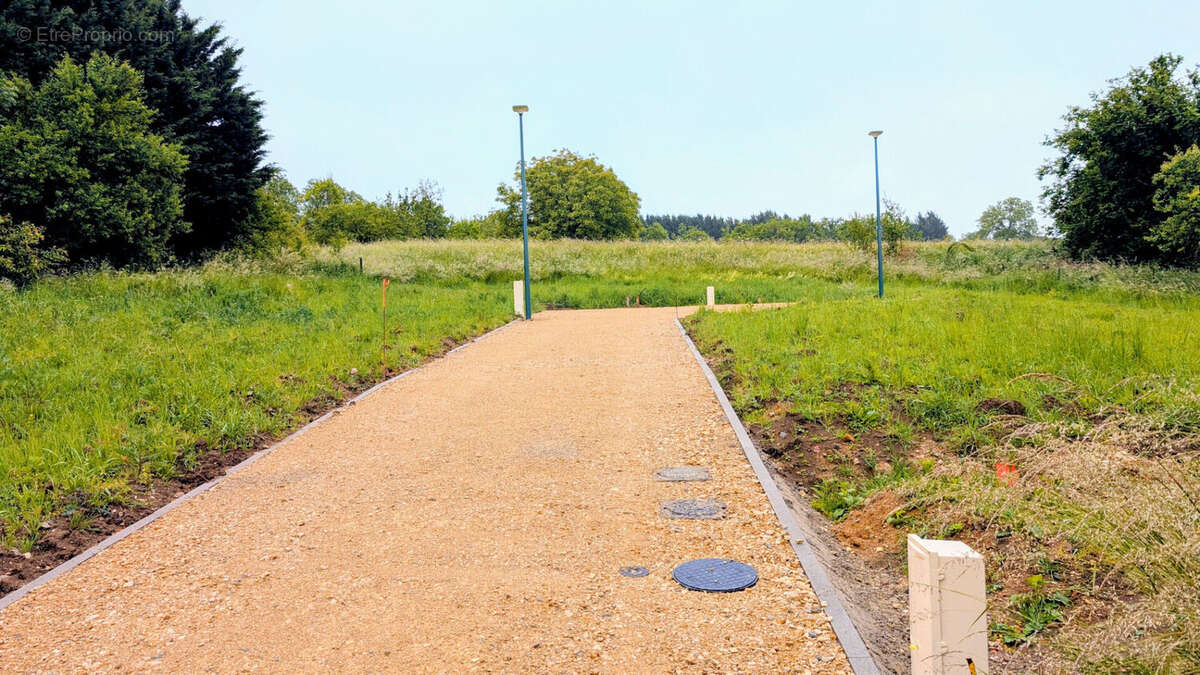 Terrain à MAZERULLES