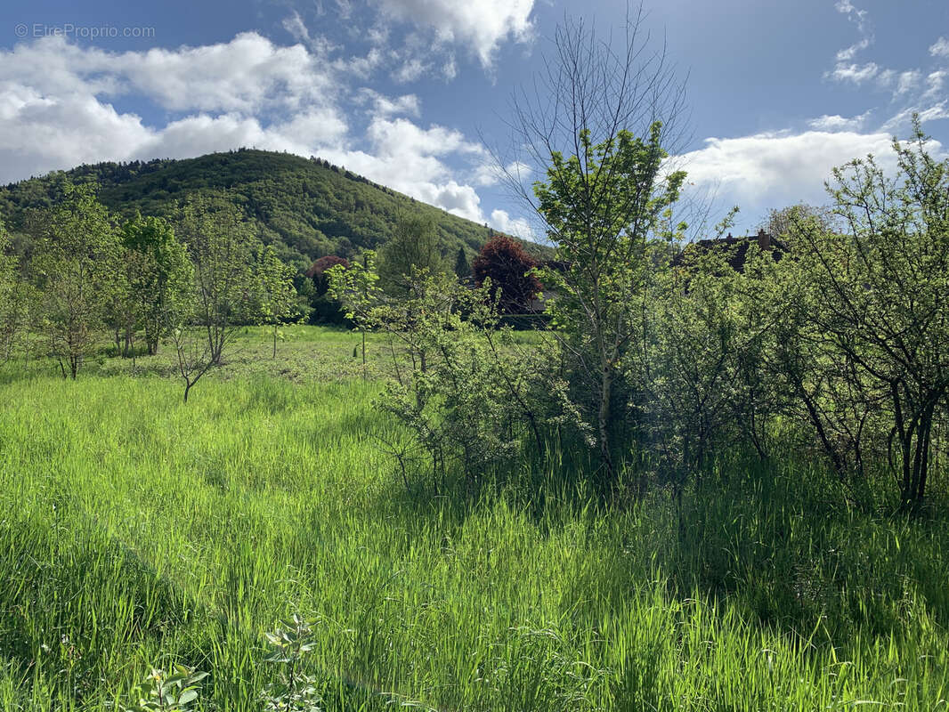 Terrain à PLANCHER-BAS