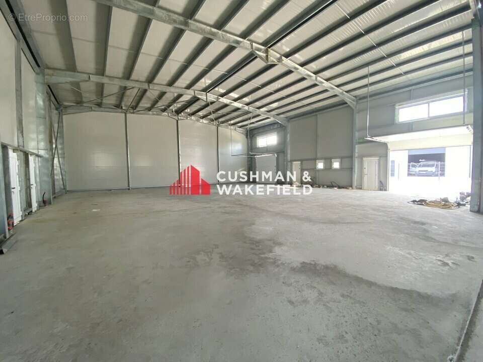 486 m² à Grisolles  - photo 5