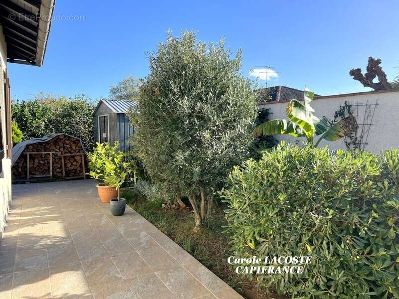 Maison à VILLENEUVE-TOLOSANE