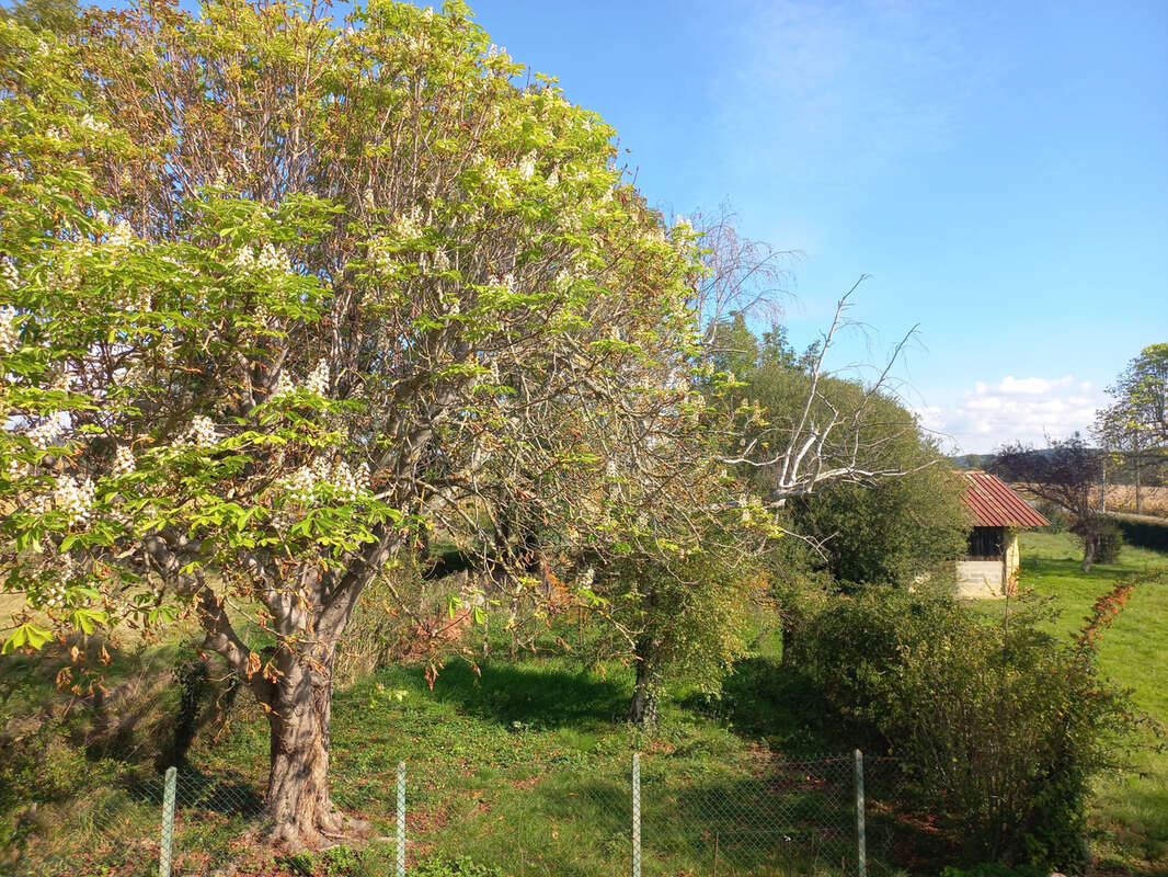 Maison à CASTELNAU-MAGNOAC
