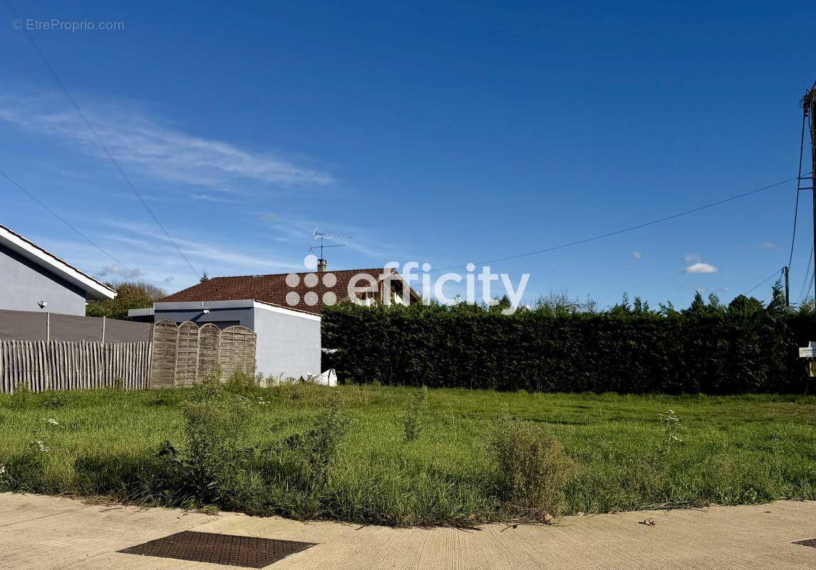 Terrain à BELIN-BELIET