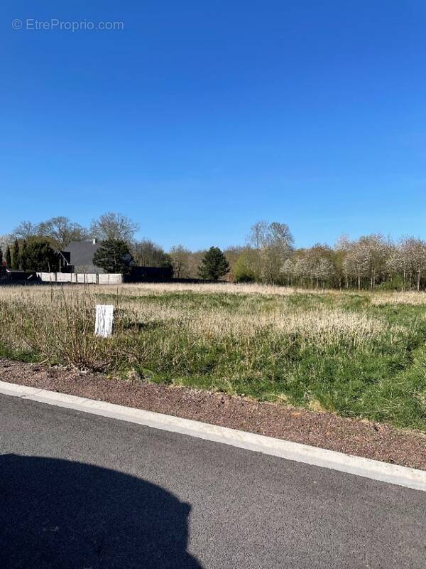 Terrain à RUMAUCOURT