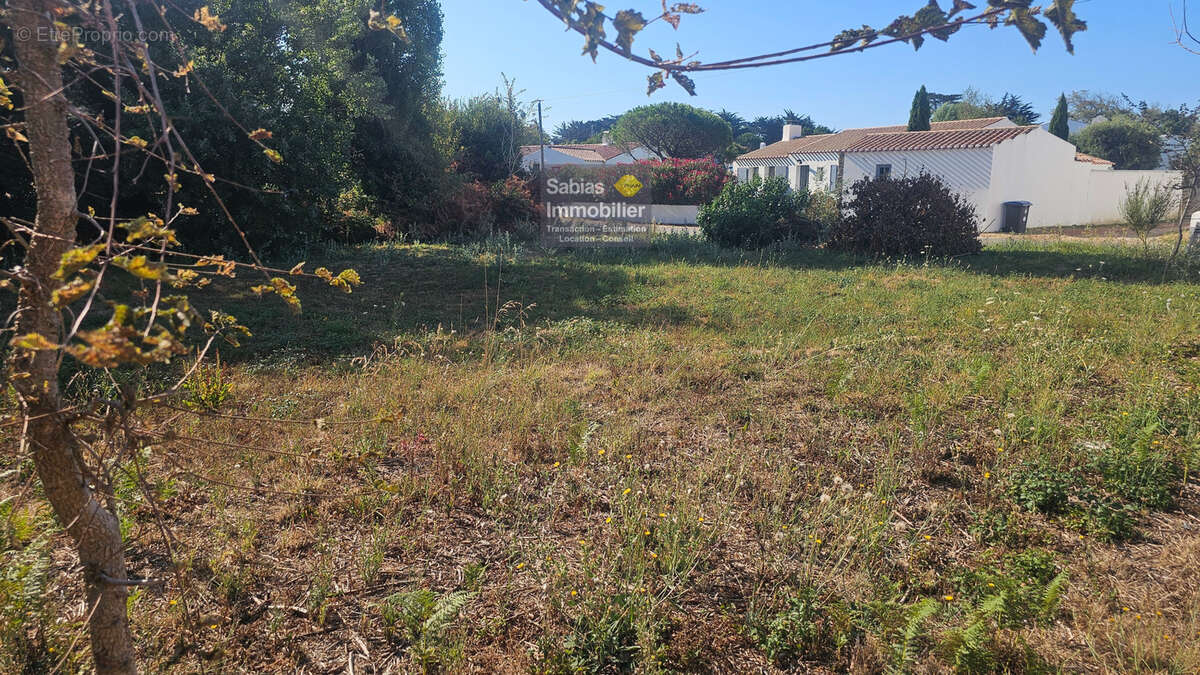 A saisir sans tarder - photo 2