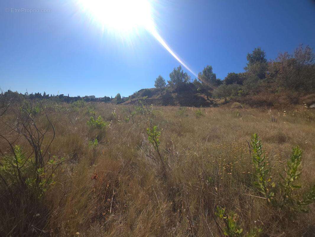 Escales ,10 mn de lezignan , terrain viabilise 1340 m2 - photo 5