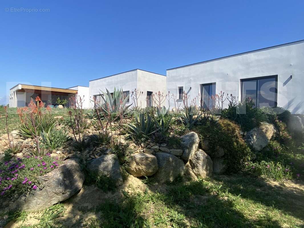 IMG_8535 - Maison à PEYRIAC-MINERVOIS