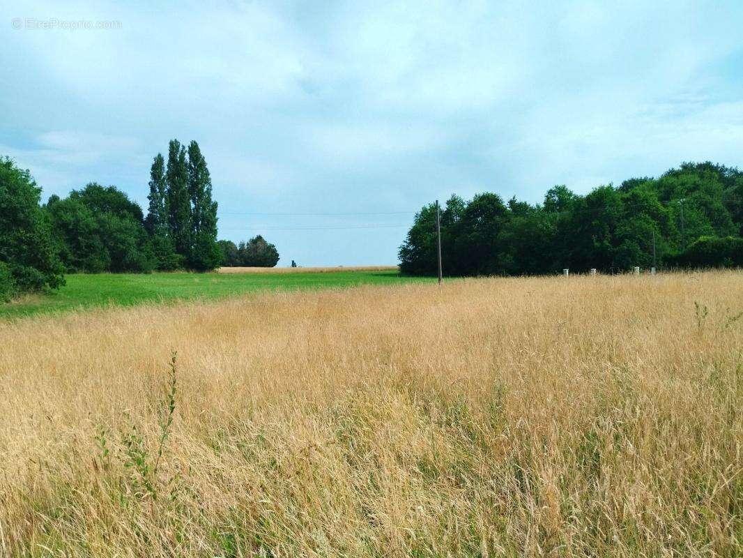 Terrain 1 750 m² à vendre à Merignac (17210) - photo 2