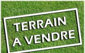 Terrain à LE TAMPON