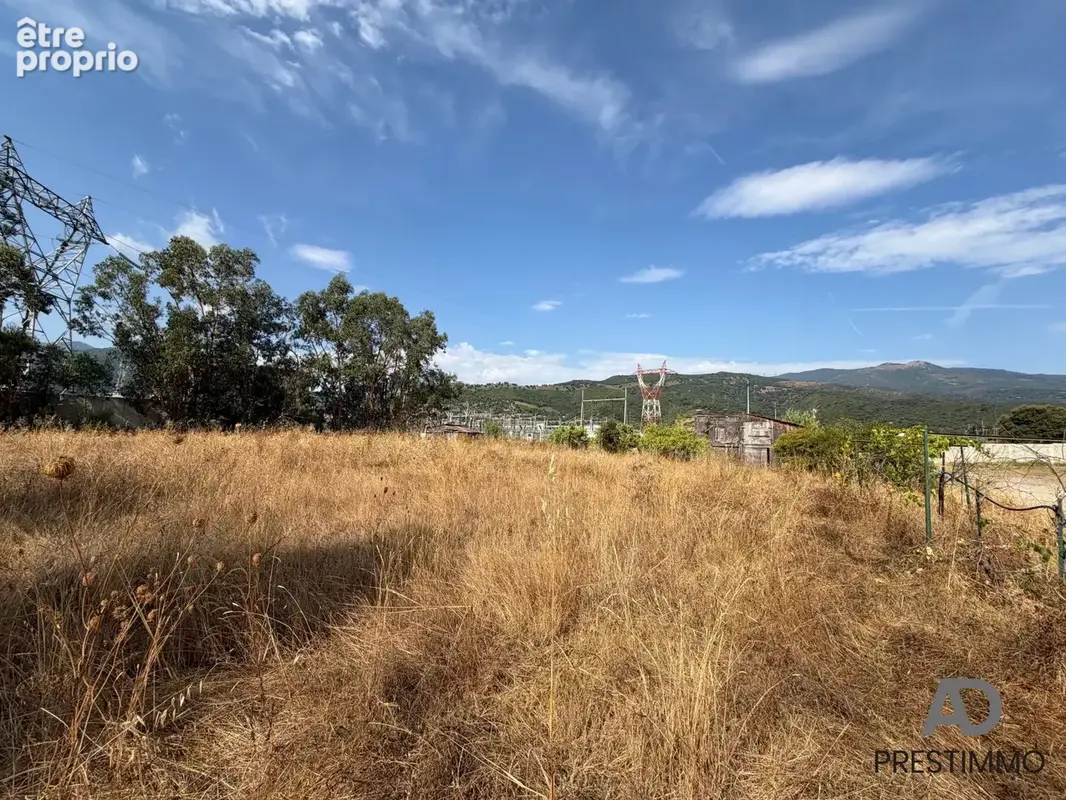 Terrain 6 700 m² à vendre à Lucciana (20290) - photo 1