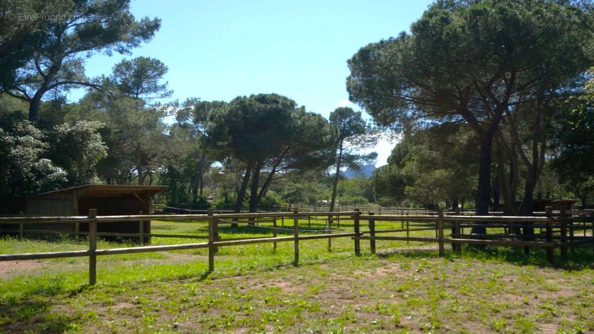 Maison à PUGET-SUR-ARGENS