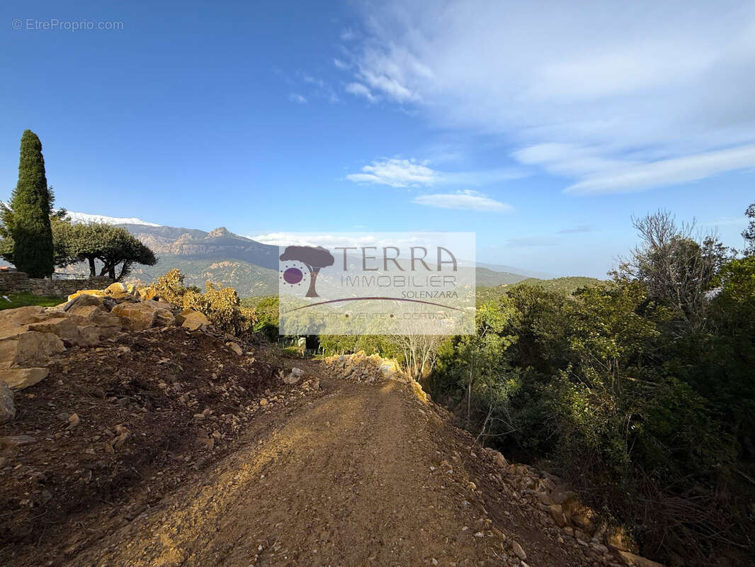 Terrain à SARI-SOLENZARA