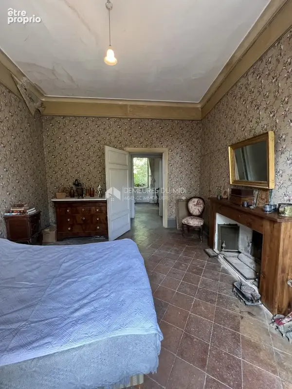 Maison de Maître 9 piéces avec jardin, cœur de village - photo 12