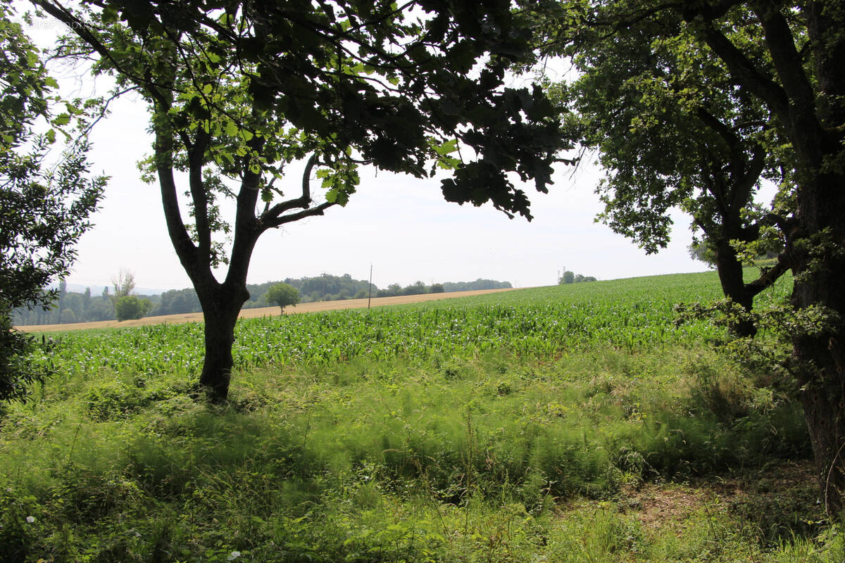 Terrain à DREMIL-LAFAGE