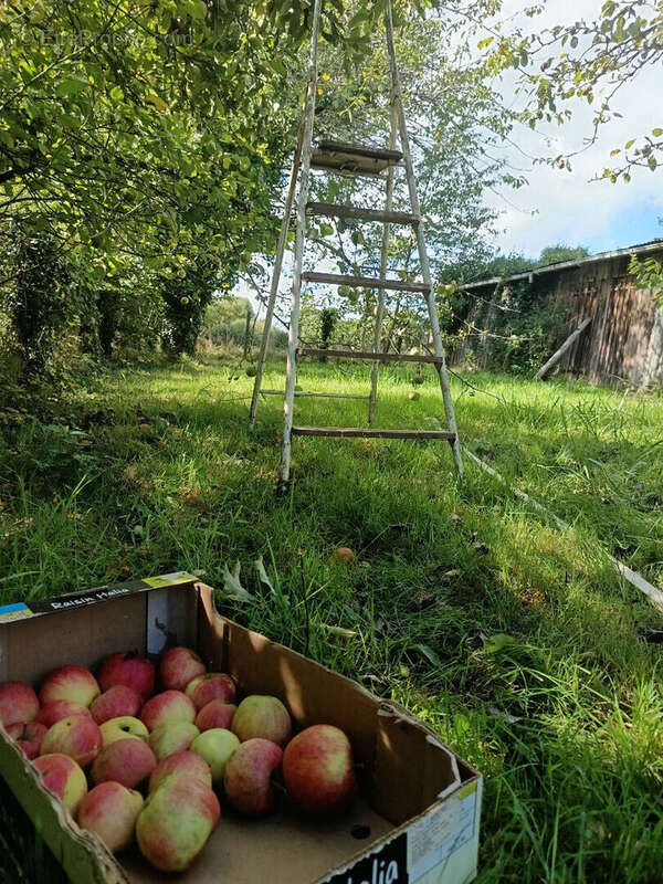 Maison à LA BAZOCHE-GOUET