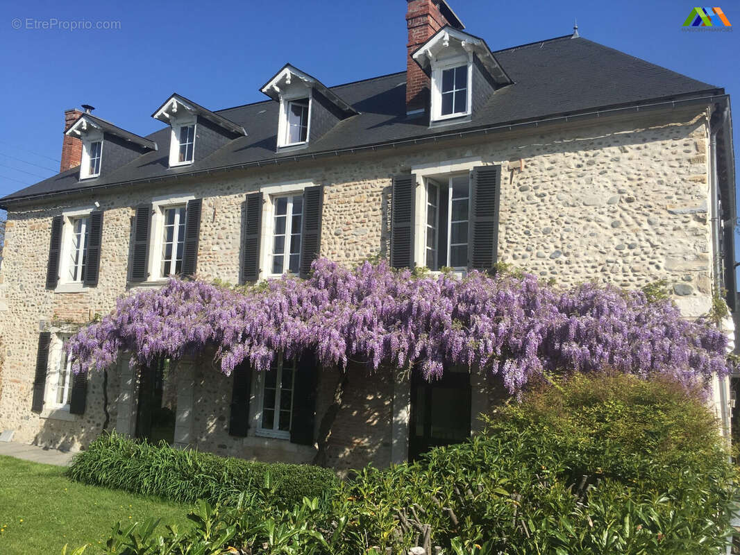 213 m² à Nay  - photo 2