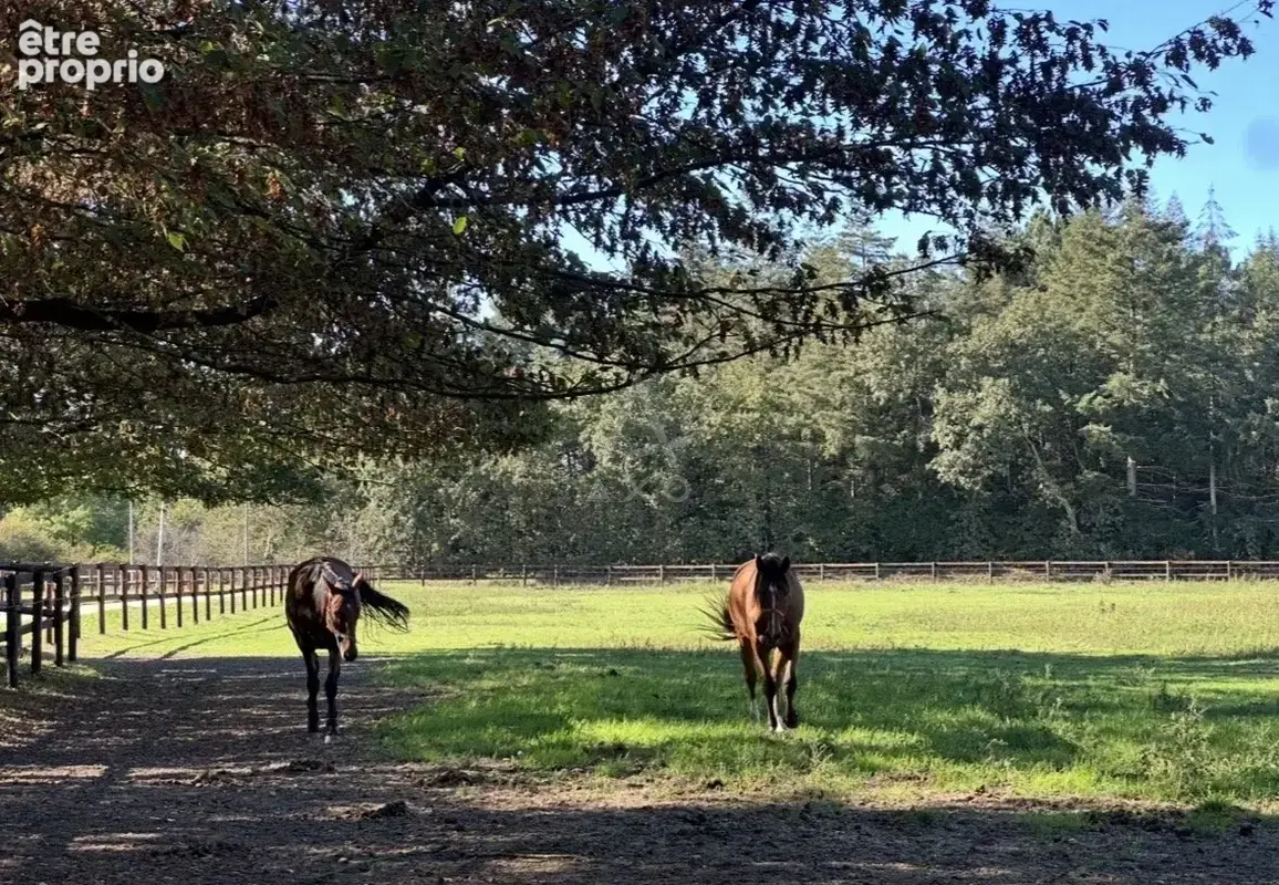 Haras de 32 hectares  3 pistes & Une ligne droite - 30 boxes - photo 12