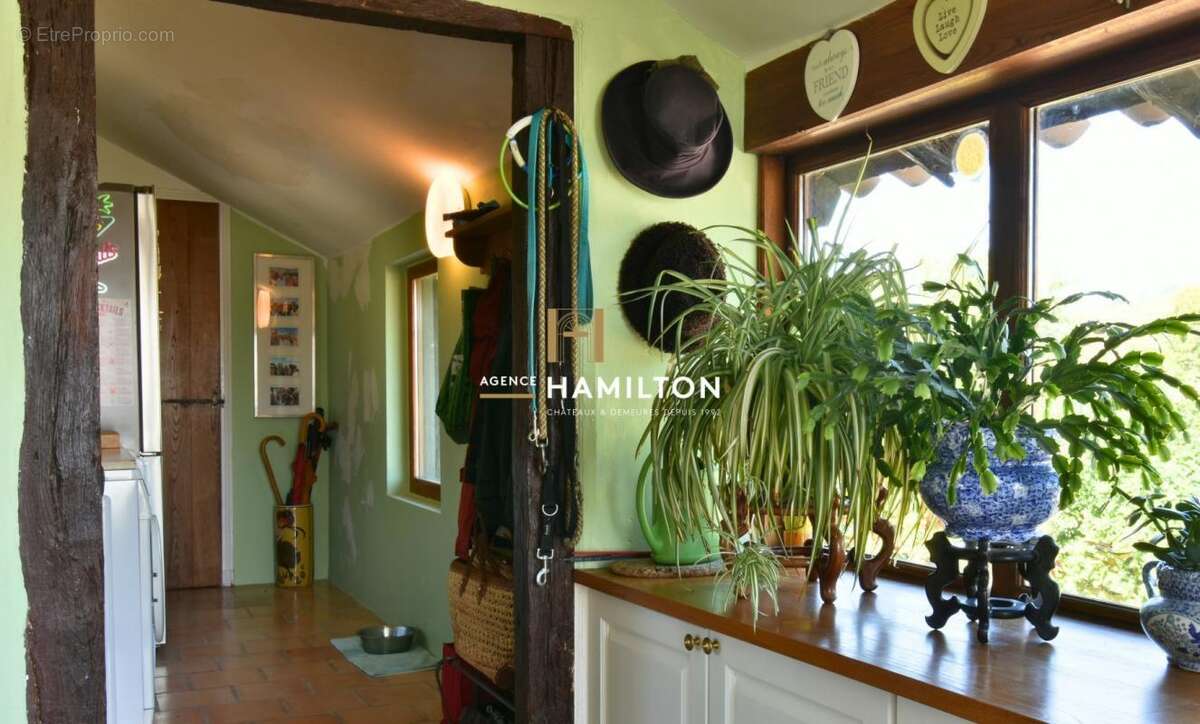 Maison à CORDES-SUR-CIEL