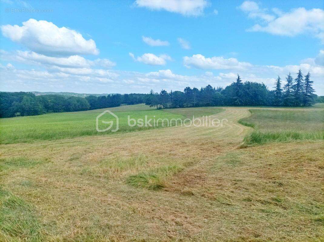 Authentique propriété en pierre avec dépendances sur près de 5 hectares de terrain - photo 28
