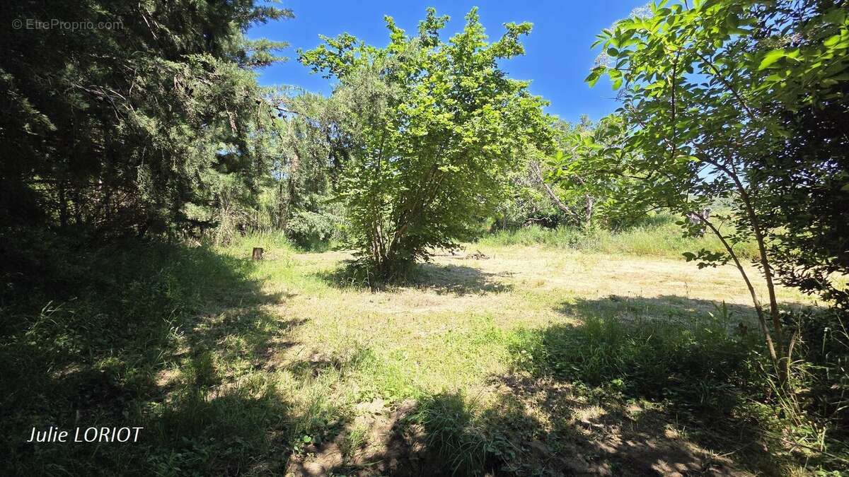 Terrain de loisirs au bord du ruisseau - photo 3