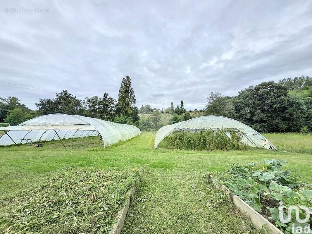 Photo 6 - Commerce à RIEUMES