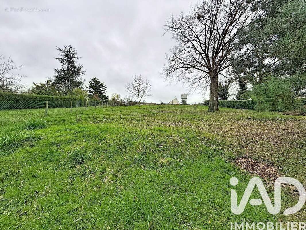 Photo 5 - Maison à MONTRICHARD