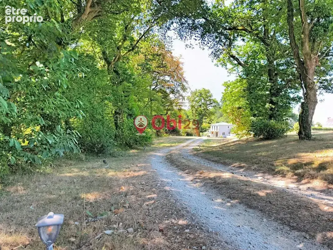 Maison principale et gîte - photo 20