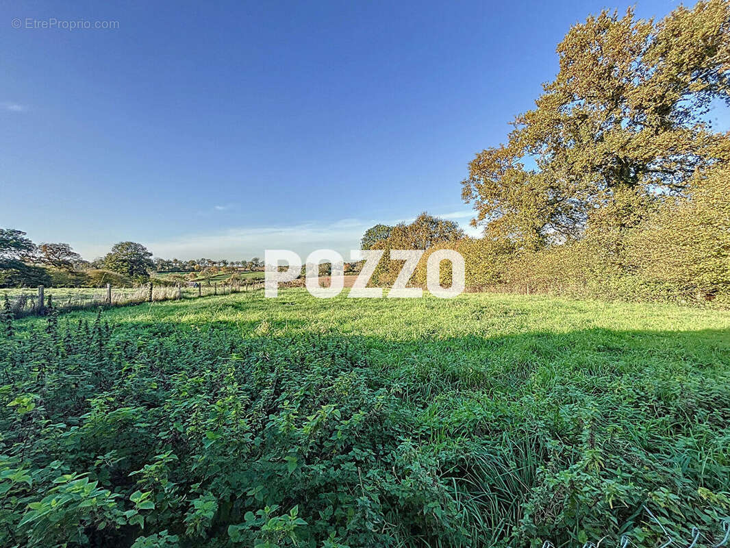 Maison à SAINT-ANDRE-DE-L'EPINE