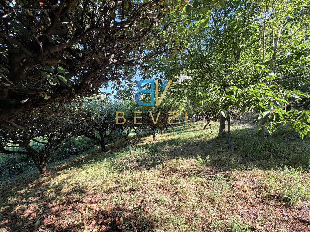 À vendre   exclusivité  (73) saint-julien-mont-denis   terrain de 1 446 m2 dont 760 m2 constructibles - photo 12