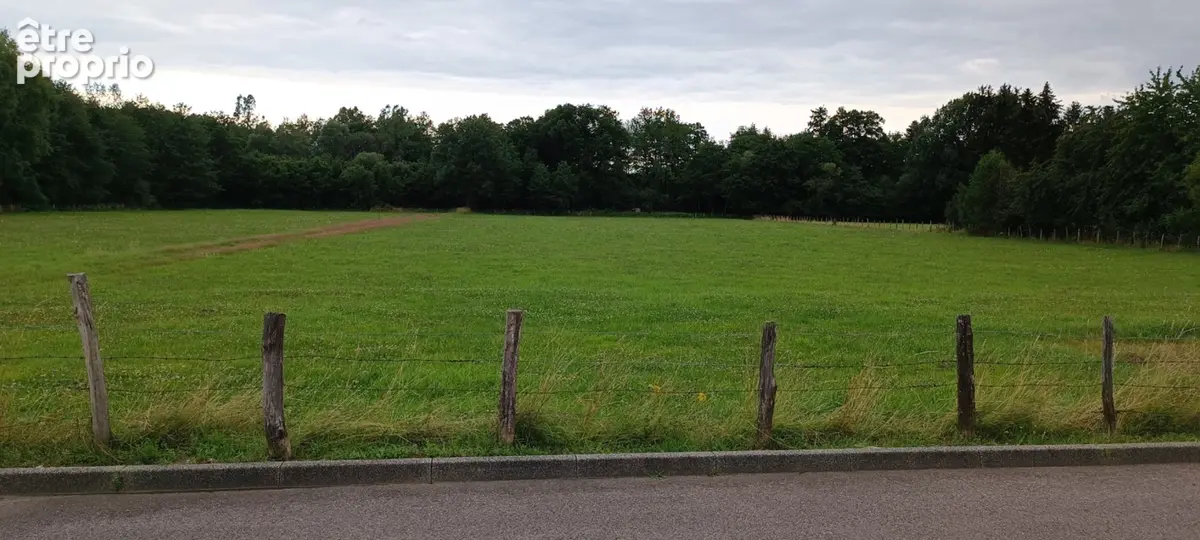 Terrain constructible.  9159 M2 m2 luxeuil - photo 9