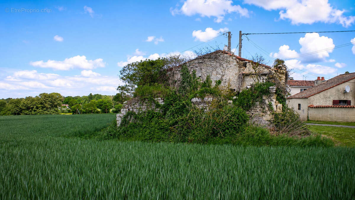 Exclusivité entre Pont L'Abbé d'Arnoult et Trizay : Bergerie à rénover avec terrain de plus de 2 hectares - photo 3