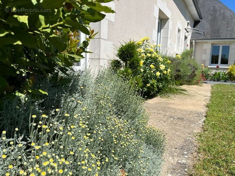 Maison à AZAY-LE-RIDEAU