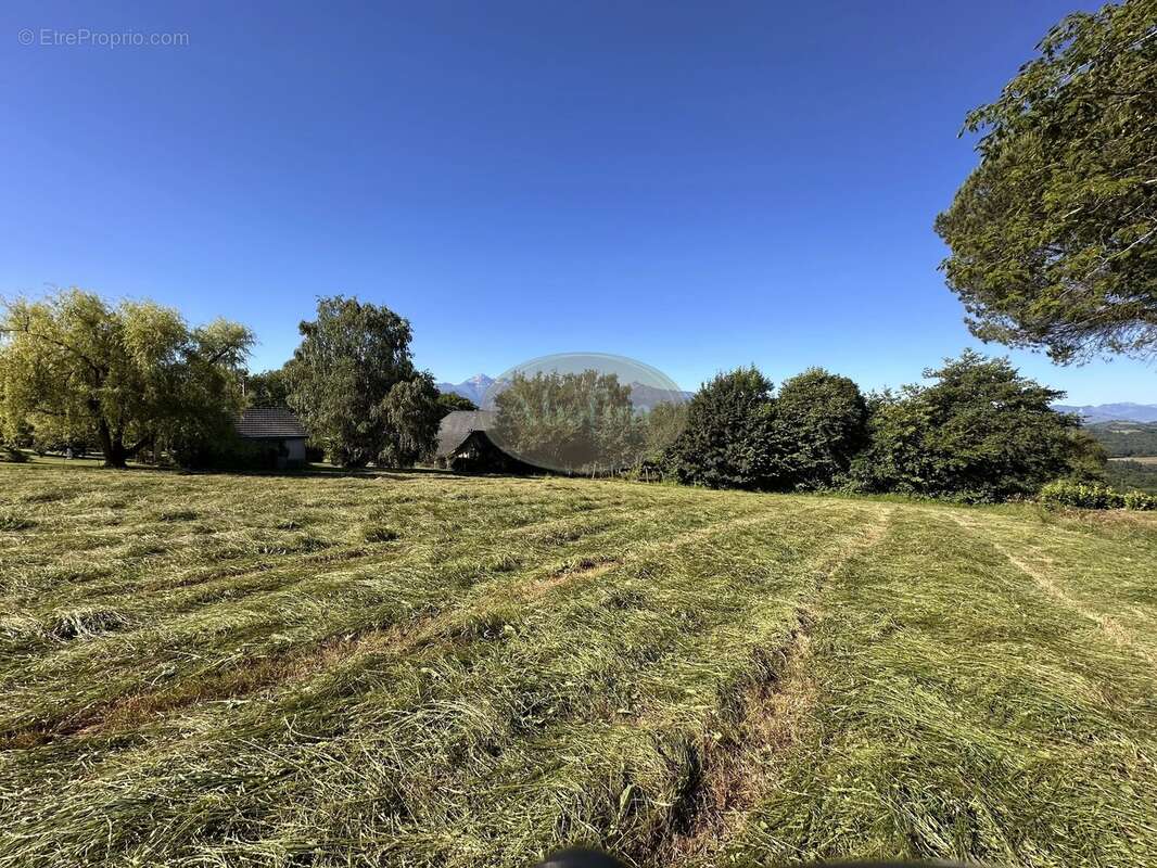 Terrain à LUC