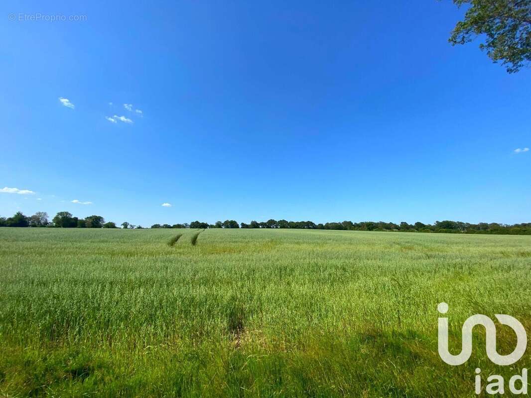 Photo 2 - Terrain à SAINT-MARTIN-L'ARS