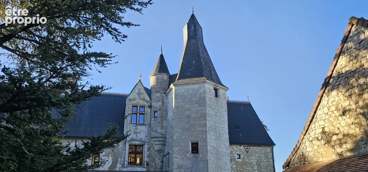 Château du XIIè siècle inscrit aux monuments historiques, dépendances et parc de 2 ha   Sud Touraine - photo 16