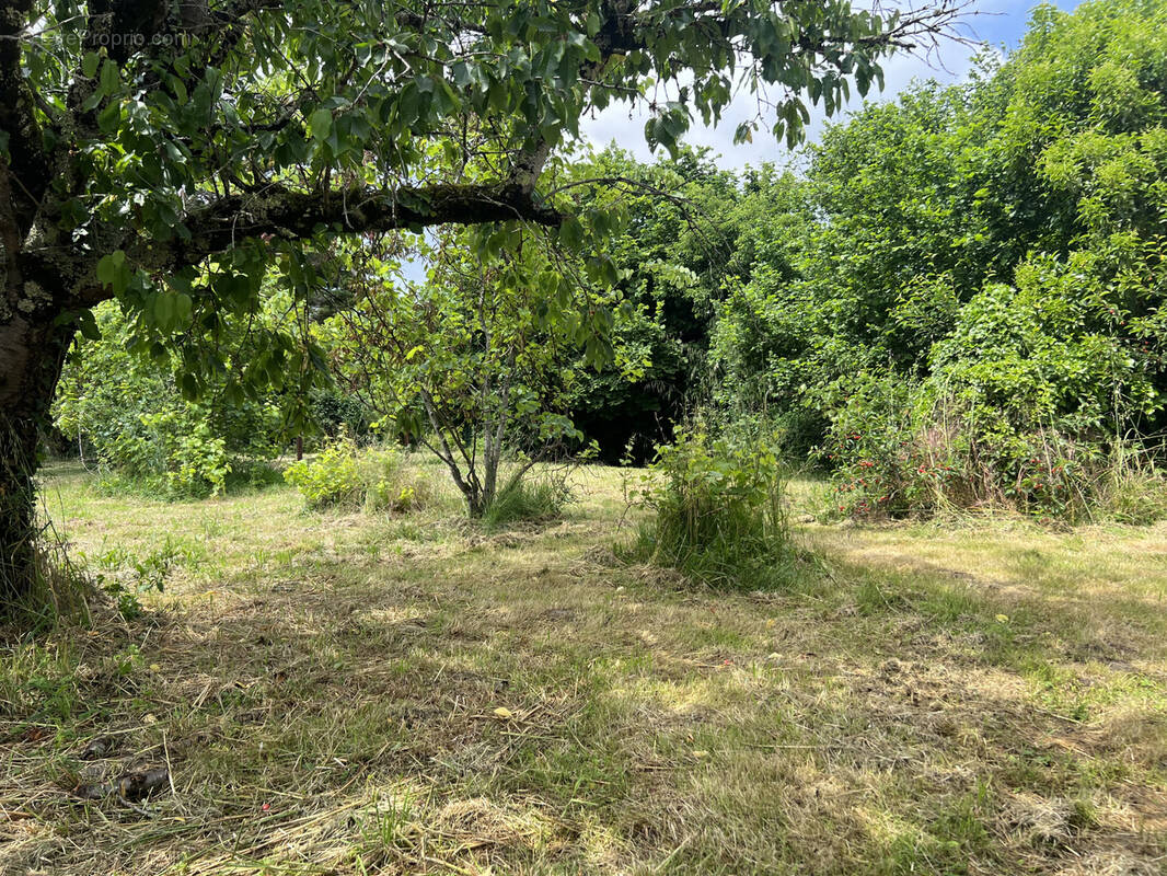 Terrain à FINHAN