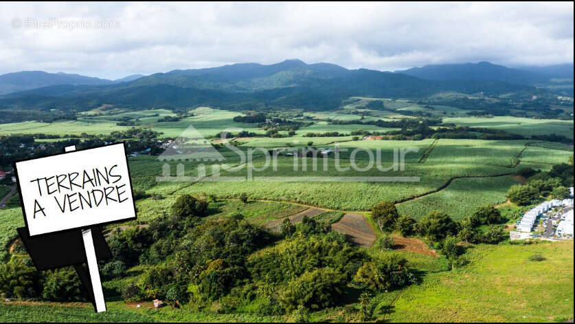 Terrain à LAMENTIN