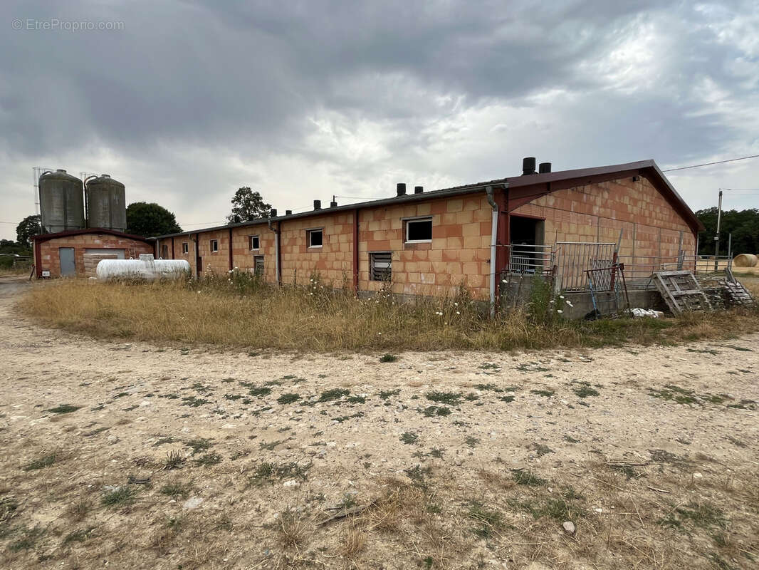 Réf 13025   Est de CUISERY, immeuble à usage agricole. - photo 2