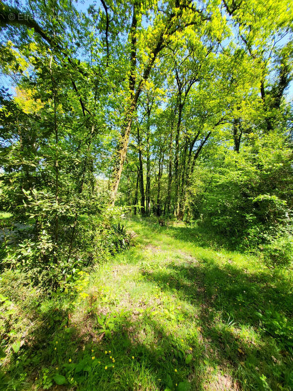 Terrain à URT