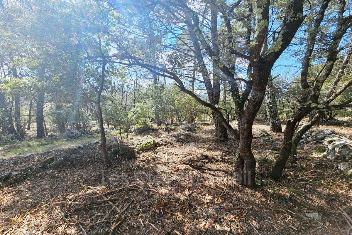 Terrain à CAMPS-LA-SOURCE