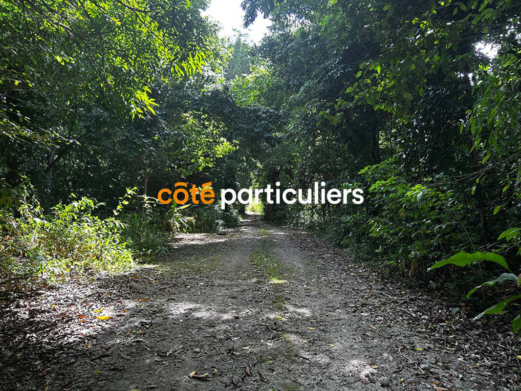 Terrain à SAINTE-ROSE