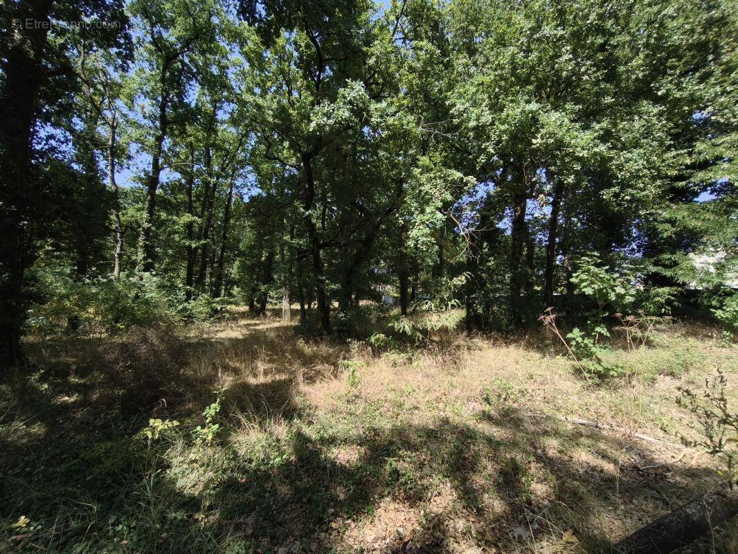 Terrain à ANGOULEME